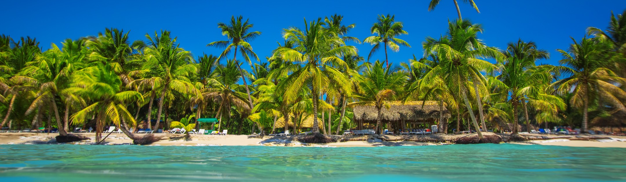 Erfahre wann die beste Reisezeit für einen Urlaub in der Dominikanischen Republik ist bei Travioro
