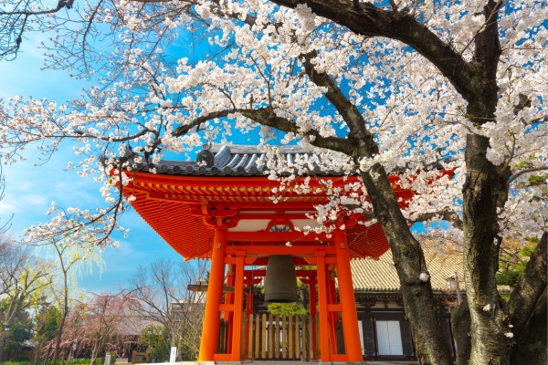 Top Angebote für Frühlings Urlaub in Japan und die besten Urlaubsziele im Frühling bei Travioro finden