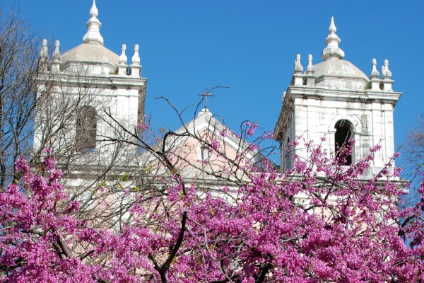 Top Angebote für Frühlings Urlaub in Portugal und die besten Urlaubsziele im Frühling bei Travioro finden
