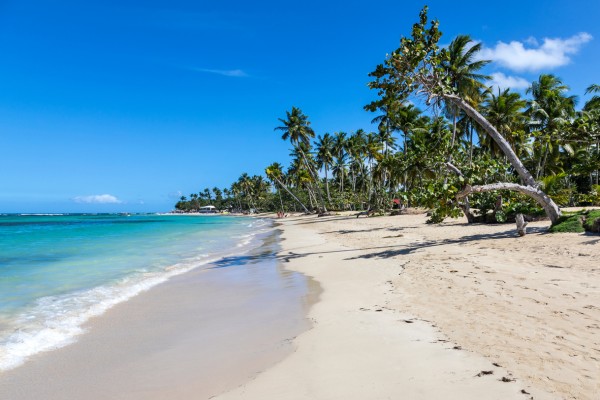Die Halbinsel Samaná ist ein toller Urlaubsort in der Dominikanischen Republik
