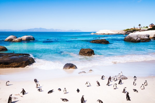 Entdecke die Top Fernreiseziele im Winter und tolle Urlaubsangebote für Kapstadt Urlaub bei Travioro