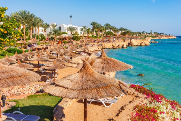 Buche deinen Frühbucher Urlaub in Ägypten günstig bei Travioro