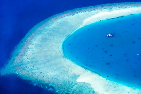 Das Ari-Atoll ist eines der beliebtesten Tauchgebiete auf den Malediven