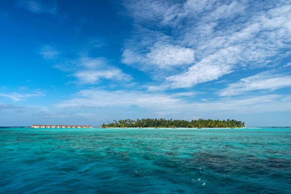Eines der beliebtesten Tauchspots auf den Malediven ist das Vaavu Atoll 