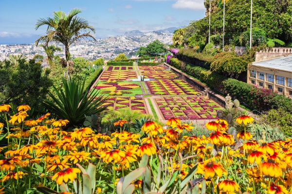 Sommer Urlaub 2025 auf Madeira
