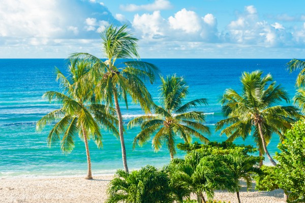 Barbados ist ein echtes Paradies auf Erden