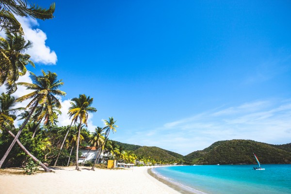 Carlisle Bay ist ein beliebter Ort zum Tauchen auf Barbados