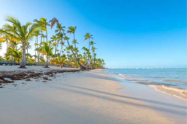 Ein Traumstrand in Punta Cana: Playa Bávaro