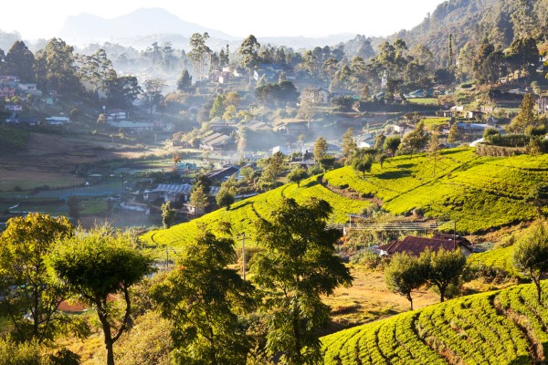 Sri Lanka verzaubert mit seiner atemberaubenden Landschaft