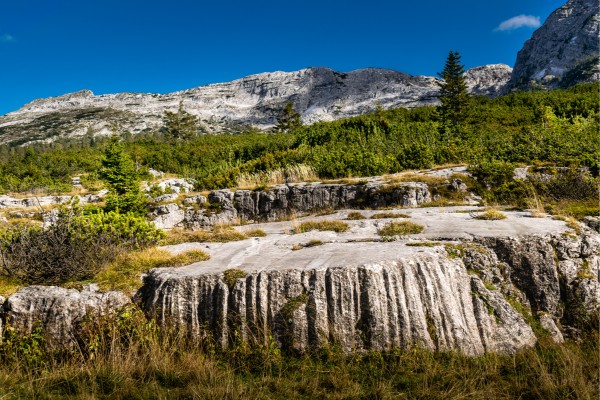 Besuche den Nationalpark Dolomiti Bellunesi im Urlaub auf Venetien
