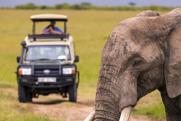 Buche mit Travioro deinen Kenia Urlaub und erlebe spannende Safaris