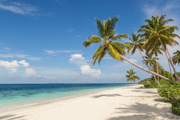 Der perfekte Traumurlaub auf den Malediven wartet auf dich!