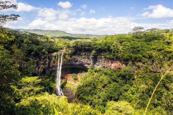 Buche deinen Urlaub auf Mauritius und bestaune den Black River Gorges Nationalpark 