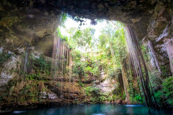 Erkunde Atemberaubende Cenoten in Yucatan