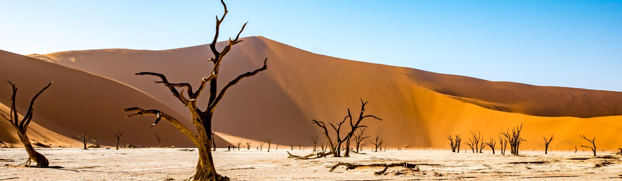 Buche einen traumhaften Urlaub in Namibia