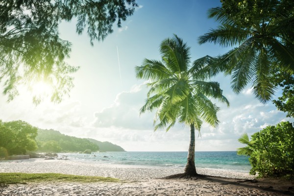 Entspanne im Seychellen Urlaub auf Traumstränden wie dem Anse Lazio auf Praslin