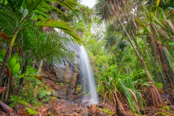 Bestaune im Urlaub auf den Seychellen die wunderschönen Wasserfall im Vallée de Mai
