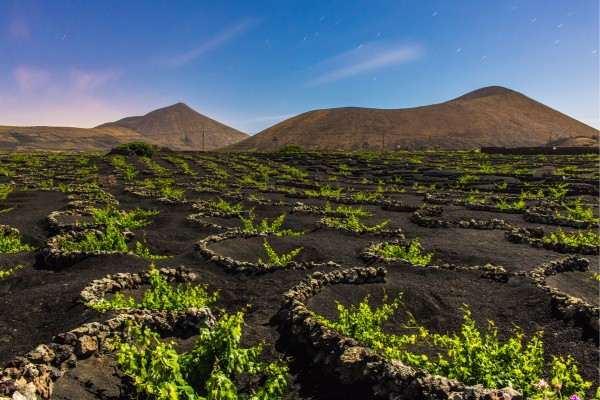 Lanzarote ist bekannt für seine tollen Landschaften