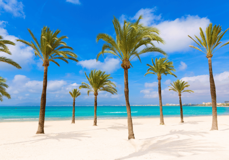 Ausflüge und Strände für den Mallorca Urlaub