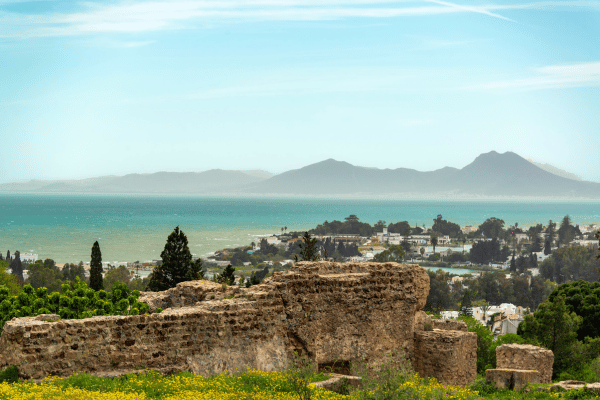 Die berühmte Stadt Karthago birgt eine reiche Geschichte und ist ein beliebtes Urlaubsziel im Tunesien Urlaub