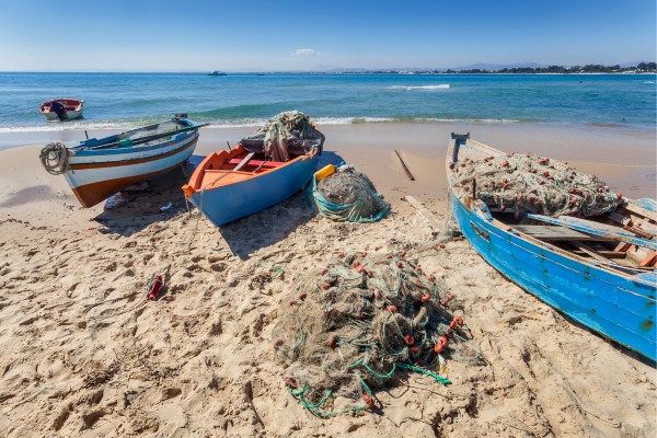 Erlebe Kultur, Natur und Geschichte im Hammamet Urlaub